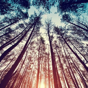 Meet your Posher, Olie